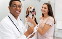 Veterinário atendendo cachorro com tutora durante estágio veterinária remunerado.